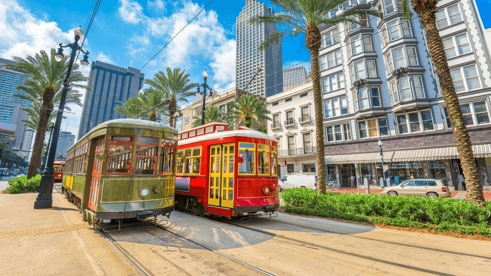 Two colorful streetcars are parked along a palm-lined street with modern buildings in the background.