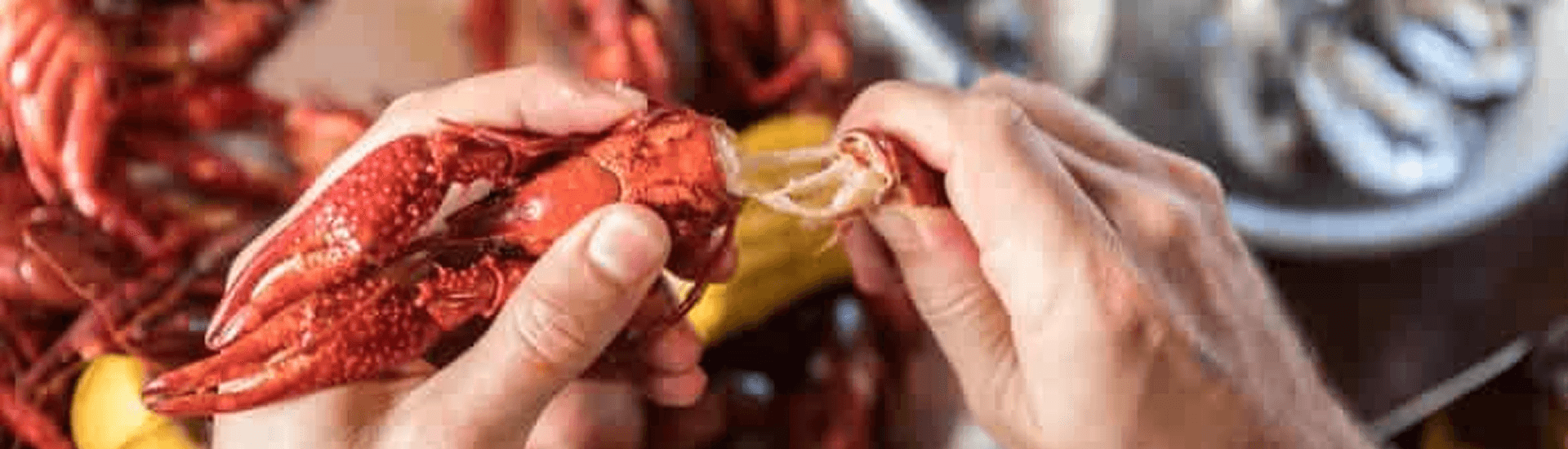 A person is peeling a lobster with their hands.